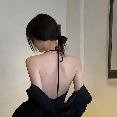 飞贼白菊花